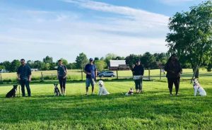 Essential Canine Group Obedience Class