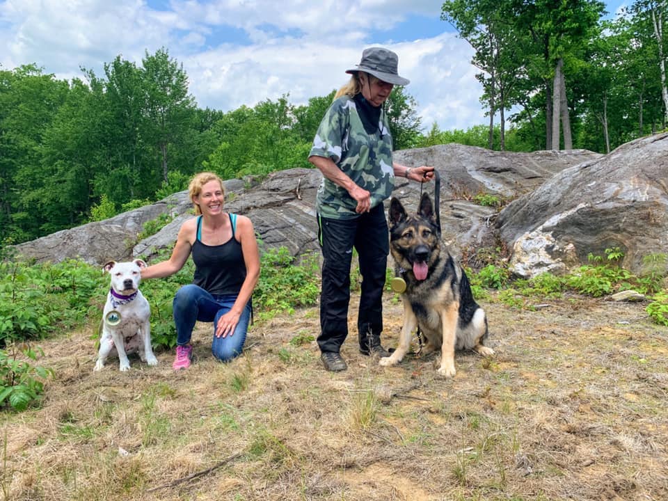 Essential Canine Heather Hitchcock Dog Training